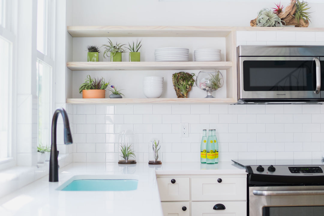 Multiple air plant displays in a modern kitchen setting