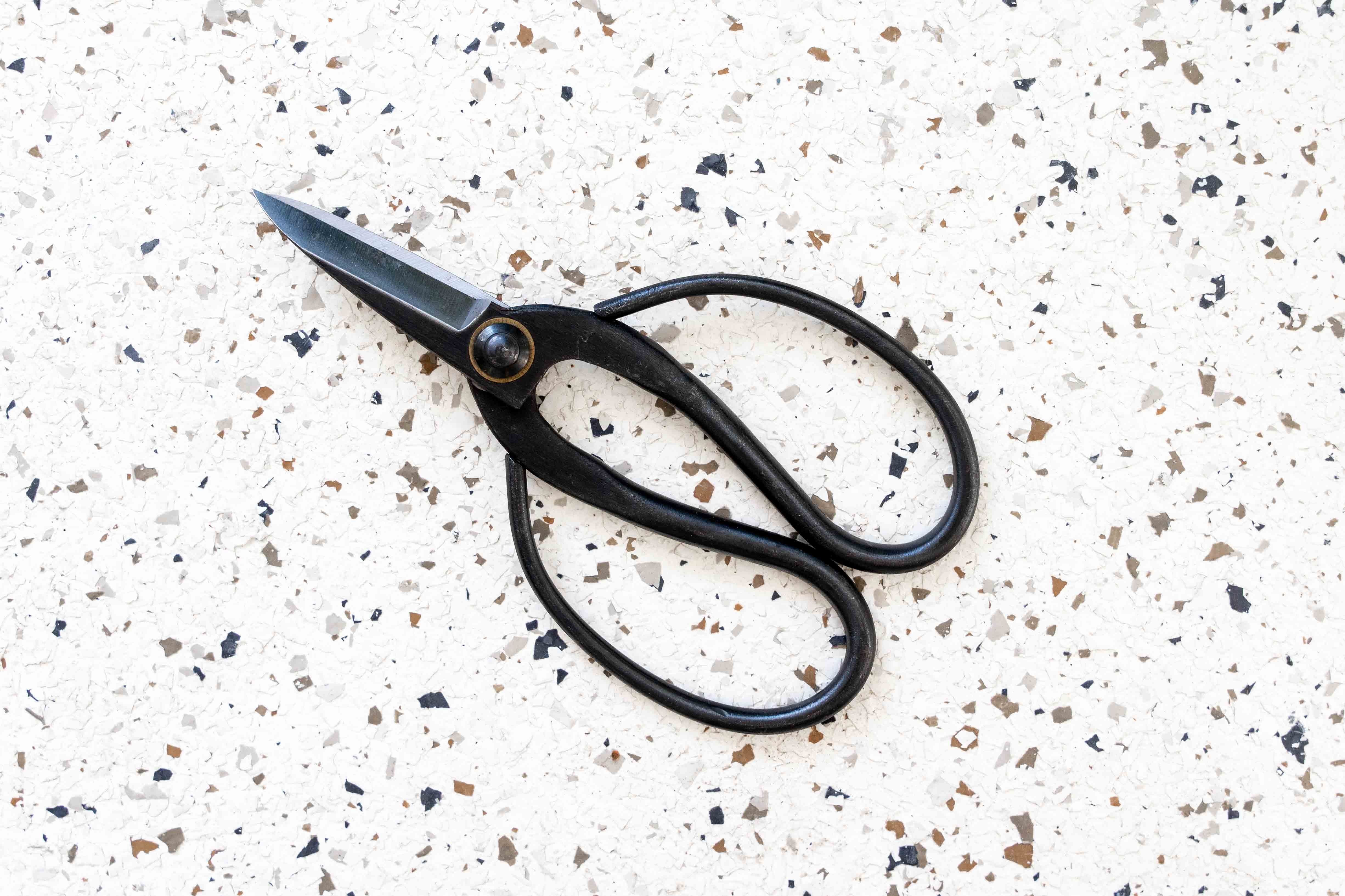 succulent scissors Bonsai-Style Pruning Scissors for Tillandsia Air Plants