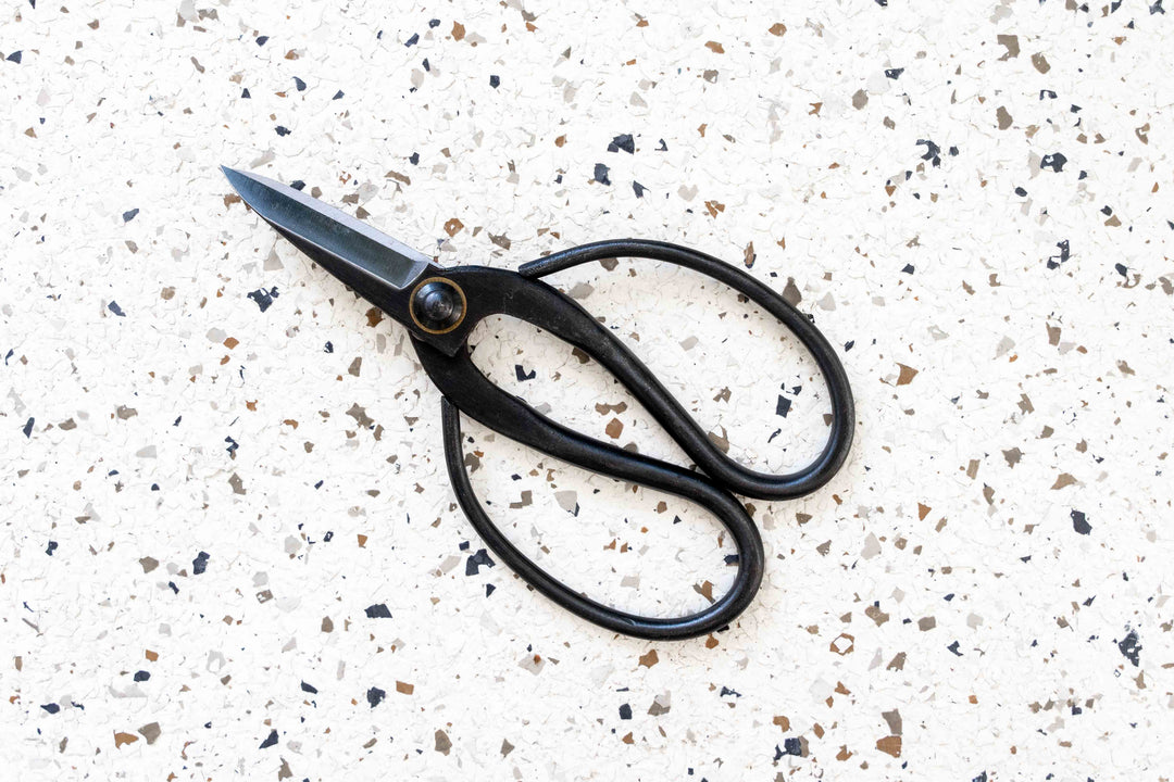 Set of Tillandsia Air Plant Tools