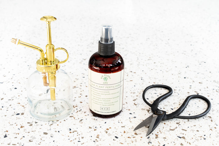 Set of Tillandsia Air Plant Tools
