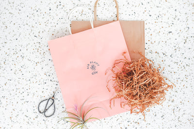 Branded Gift Bag, Brown Crinkle Paper Stuffing