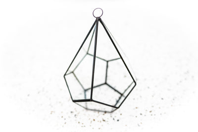 Multifaceted Glass Diamond Terrarium with Black Metal Accents