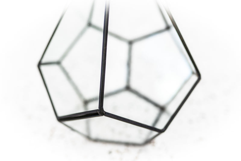 Close up of Multifaceted Glass Diamond Terrarium with Black Metal Accents