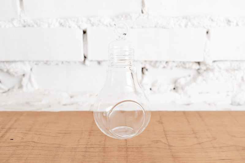 Glass Light Bulb Shaped Terrarium for Tillandsia Air Plants