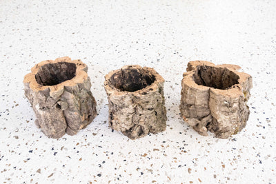 3 Natural Cork Bark Planters