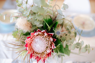 Top 5 Trending Air Plant Wedding Ideas