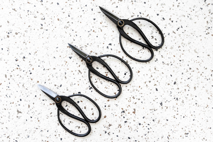 succulent scissors Wholesale
