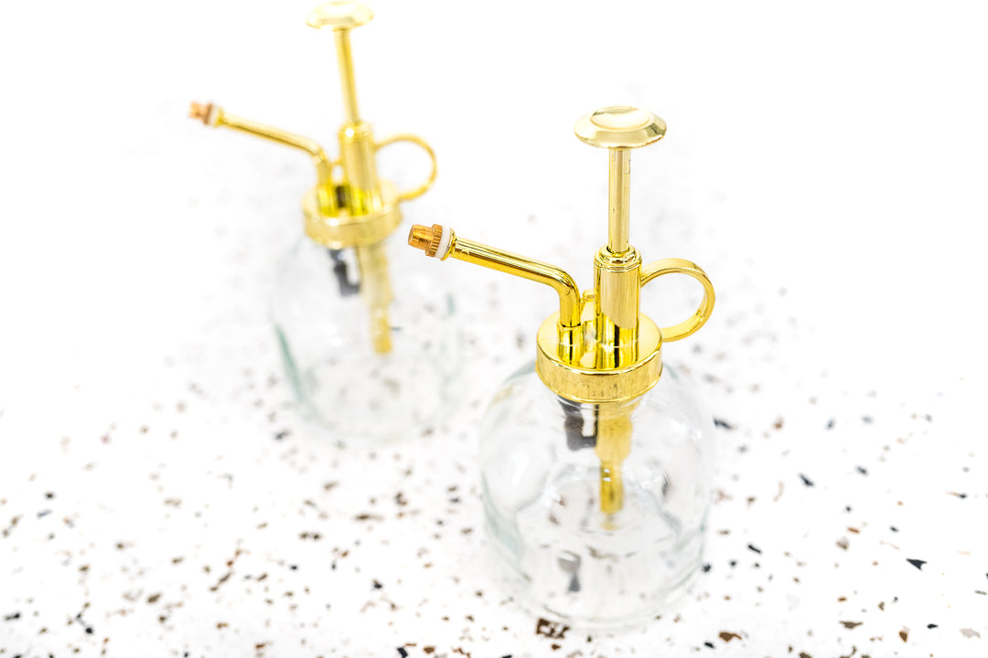 air plant sprayer Tillandsia Air Plant Mister
