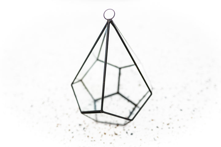 Multifaceted Glass Diamond Terrarium with Black Metal Accents