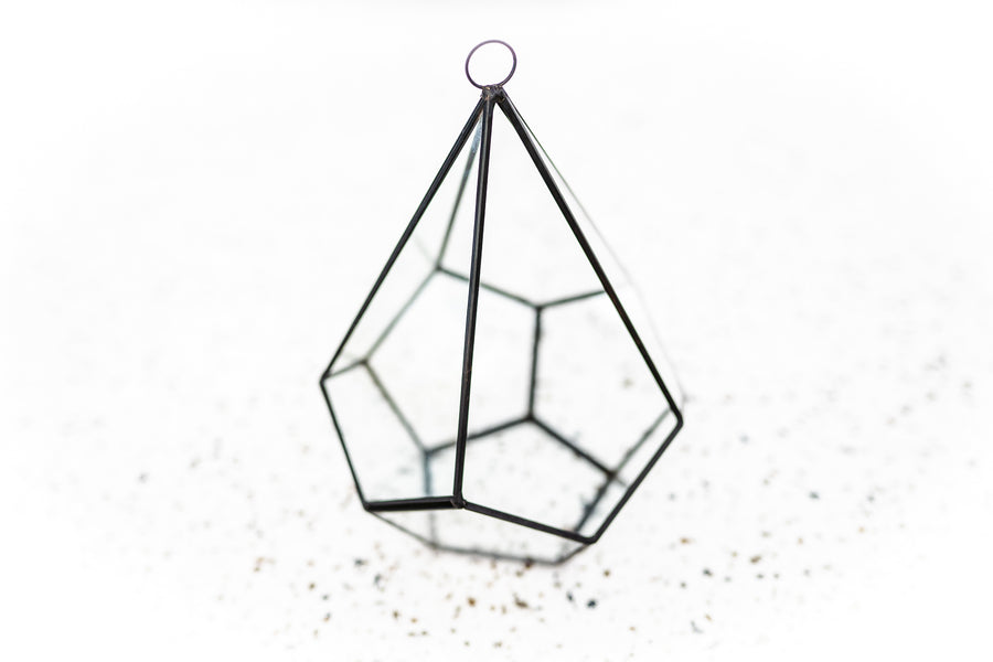 Multifaceted Glass Diamond Terrarium with Black Metal Accents