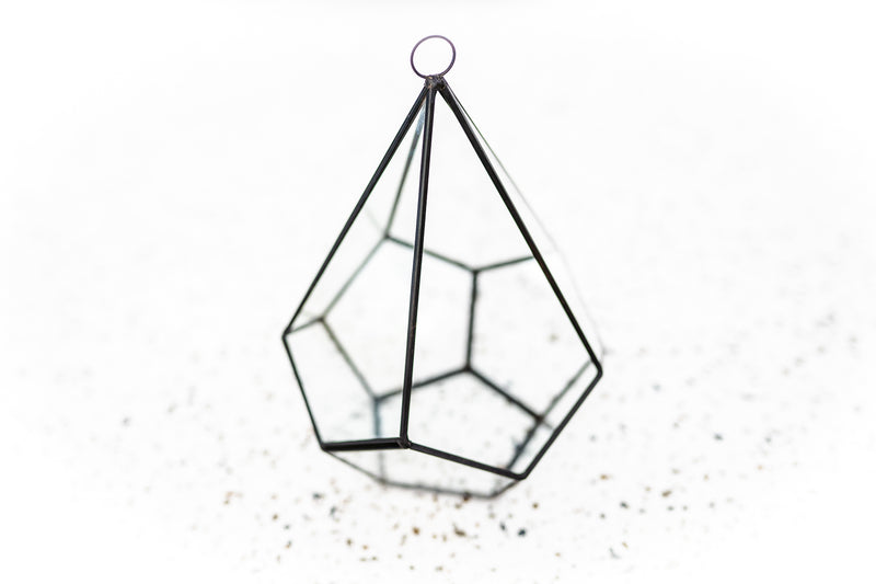 Multifaceted Glass Diamond Terrarium with Black Accents