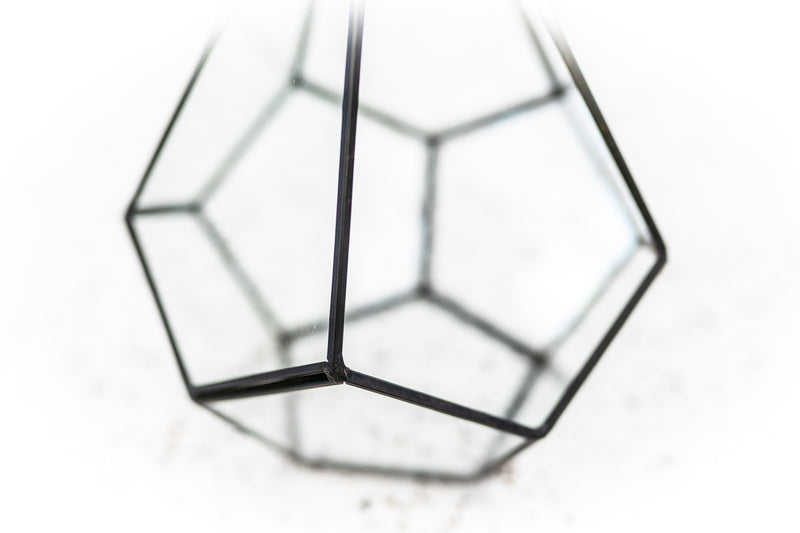 Multifaceted Glass Diamond Terrarium with Black Accents