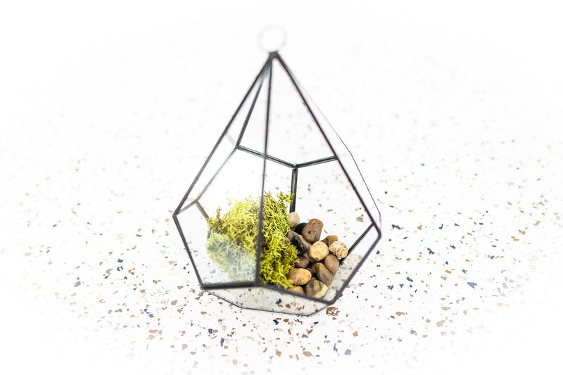 Multifaceted Glass Diamond Terrarium with Black Accents containing 