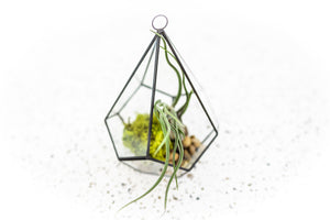 DIY Glass Diamond Terrarium