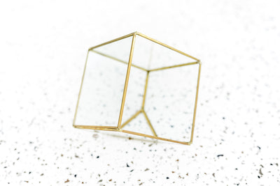 Multifaceted Glass Heptahedron Terrarium with Gold Metal Accents