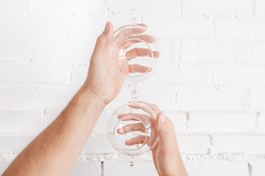 Hands Holding 2 Double Hook Clear Glass Globe Terrariums Connected to One Another