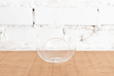 Flat Bottom Clear Glass Globe Terrarium with Loop for Hanging