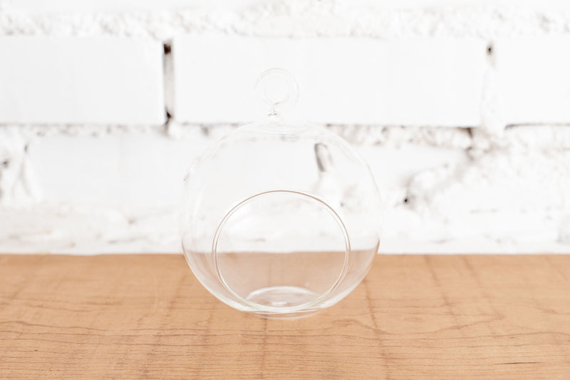 Flat Bottom Clear Glass Globe Terrarium with Loop for Hanging