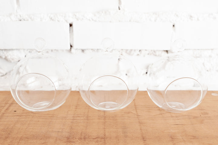 Trio of Hand Holding Flat Bottom Clear Glass Globe Terrariums with Loop for Hanging