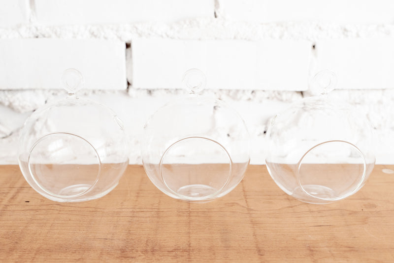 Trio of Flat Bottom Clear Glass Globe Terrariums with Loop for Hanging