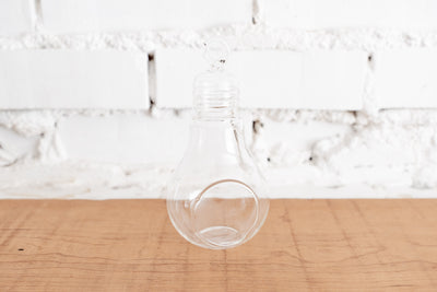 Glass Light Bulb Shaped Terrarium for Tillandsia Air Plant