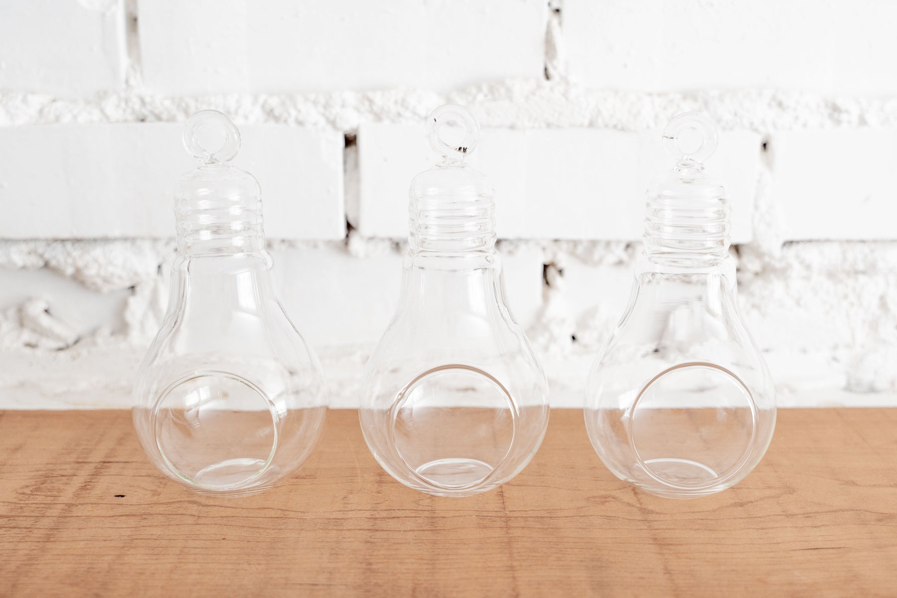 light bulb air plant Light Bulb Glass Terrariums, Single Terrarium