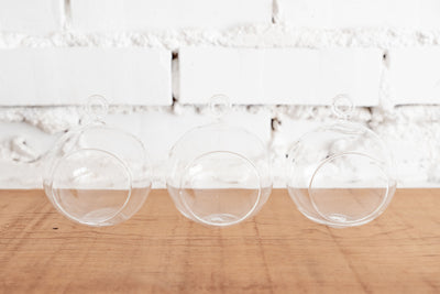 Trio of Mini Flat Bottom Glass Globe Terrariums