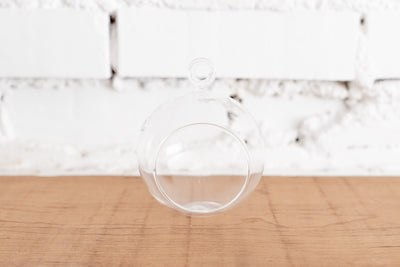 Hand Holding Mini Flat Bottom Glass Globe Terrarium