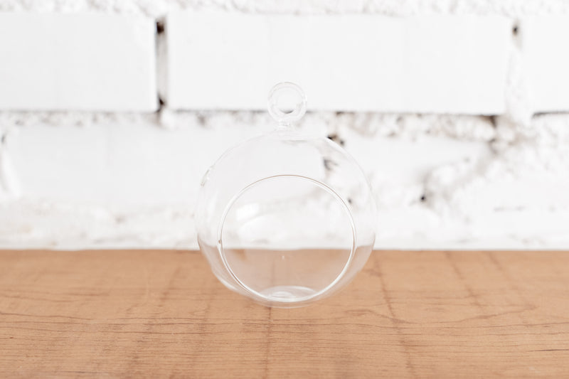 Hand Holding Mini Flat Bottom Glass Globe Terrarium