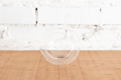 Round Bottom Clear Glass Globe Terrarium with Loop for Hanging