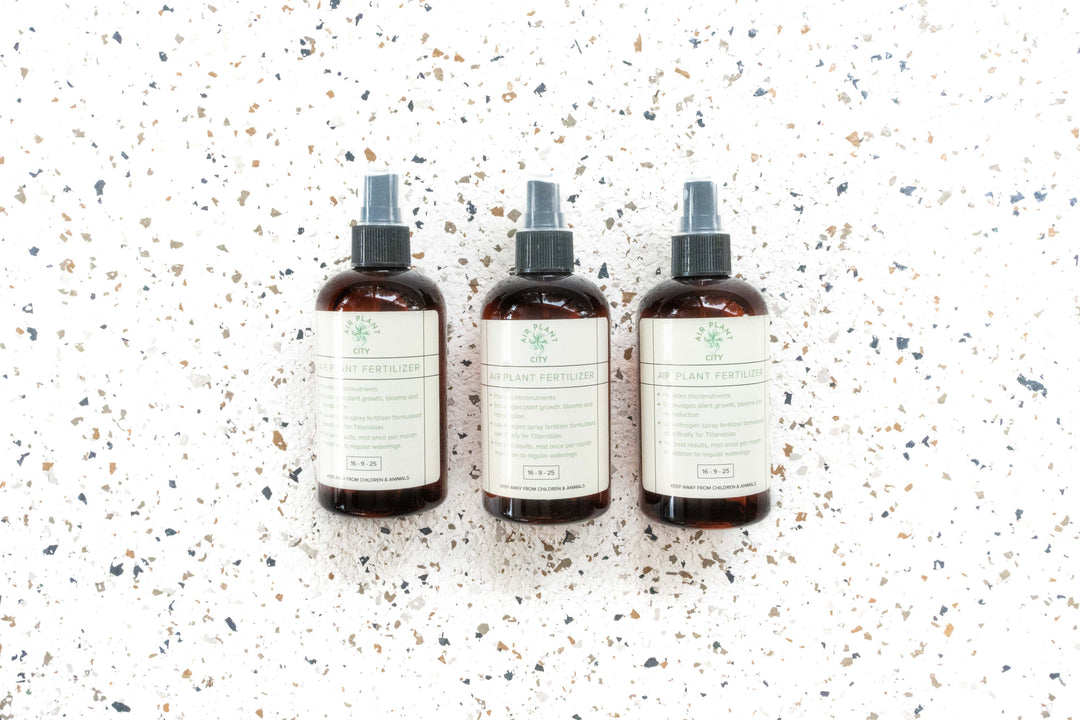 air plant spray Combo of 1, 3 or 5 Ready-to-Use Tillandsia Air Plant Fertilizer, 3 Pack