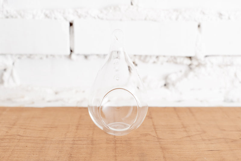 Teardrop Clear Glass Terrarium with Loop for Hanging