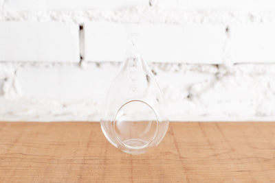 Teardrop Clear Glass Terrarium with Loop for Hanging