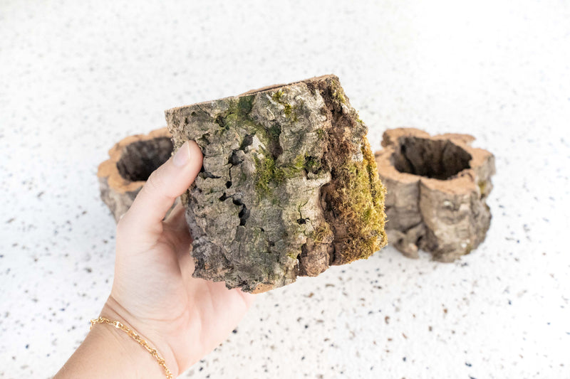 3 Natural Cork Bark Planters