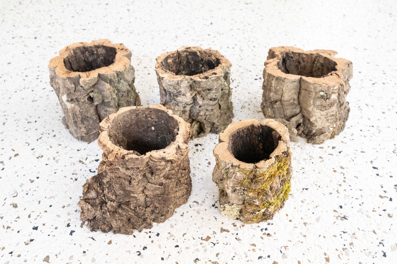 5 Natural Cork Bark Planters